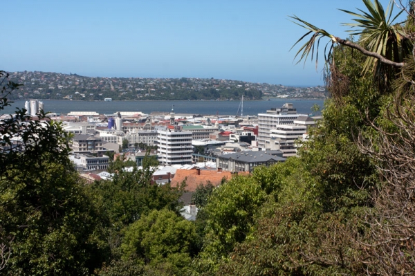 Zdjęcie z Nowej Zelandii - DUNEDIN