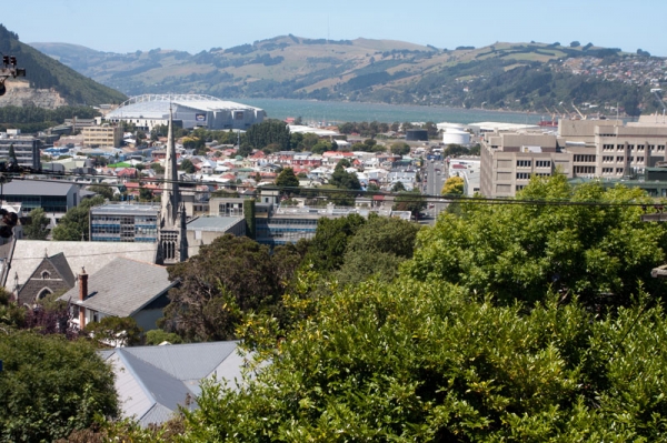 Zdjęcie z Nowej Zelandii - DUNEDIN