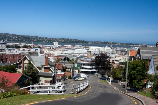 Zdjęcie z Nowej Zelandii - DUNEDIN