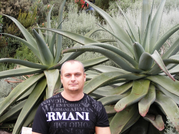 Zdjęcie z Wielkiej Brytanii - 