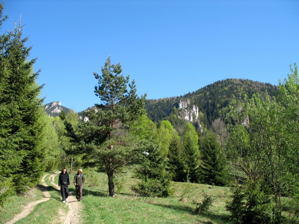 Zdjęcie ze Słowacji - M Fatra