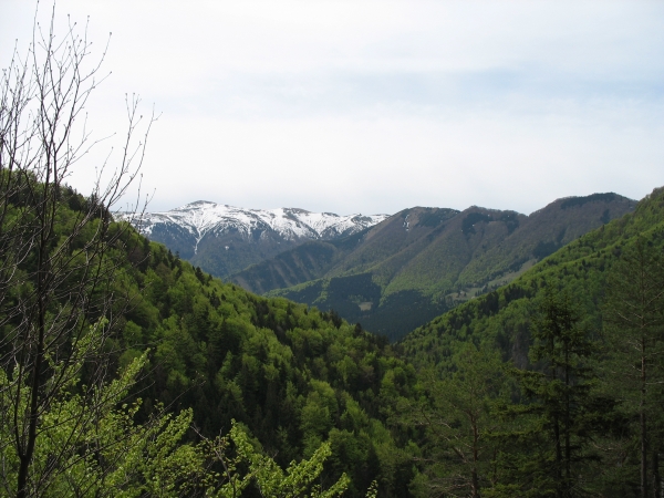 Zdjęcie ze Słowacji - M Fatra
