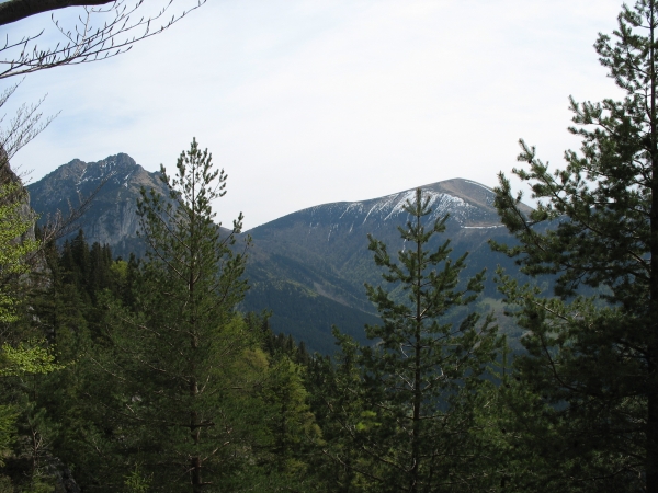 Zdjęcie ze Słowacji - M Fatra