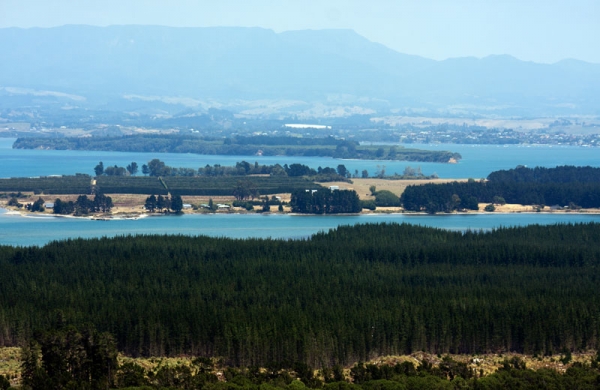 Zdjęcie z Nowej Zelandii - TAURANGA