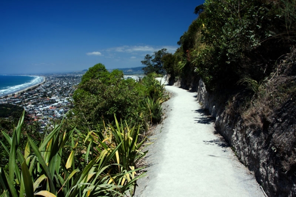 Zdjęcie z Nowej Zelandii - TAURANGA