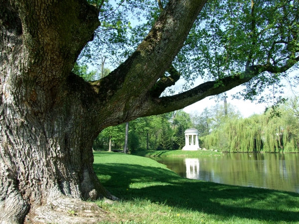 Zdjęcie z Polski - park w Dobrzycy