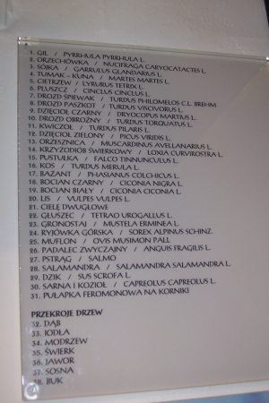 Zdjęcie z Polski - 