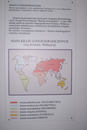 Zdjęcie z Polski - Muzeum Przyrodnicze