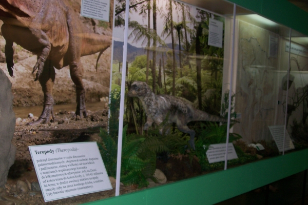 Zdjęcie z Polski - Muzeum Przyrodnicze