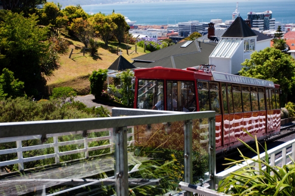 Zdjęcie z Nowej Zelandii - WELLINGTON