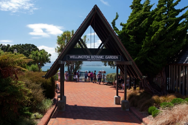 Zdjecie - Nowa Zelandia - WELLINGTON 2