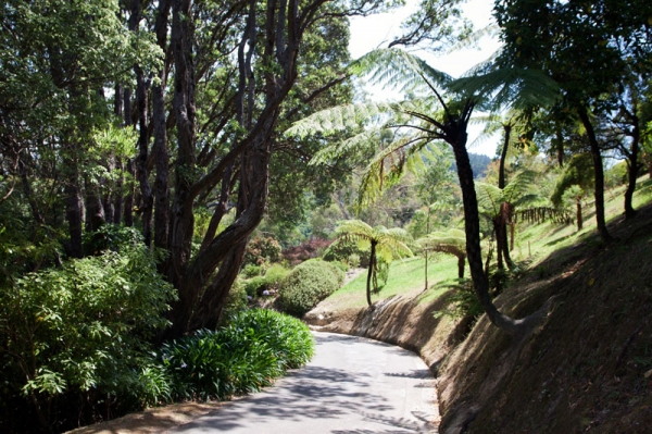 Zdjęcie z Nowej Zelandii - WELLINGTON