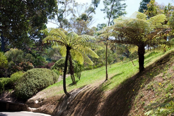 Zdjęcie z Nowej Zelandii - WELLINGTON