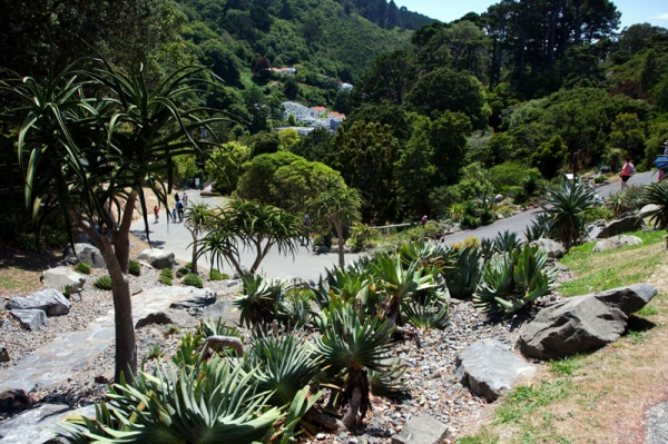 Zdjęcie z Nowej Zelandii - WELLINGTON