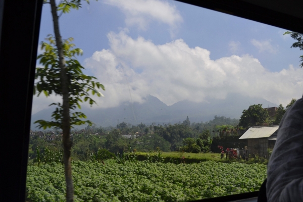 Zdjęcie z Indonezji - 