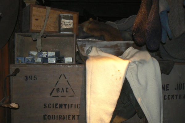 Zdjęcie z Nowej Zelandii - Antarctic Encounter