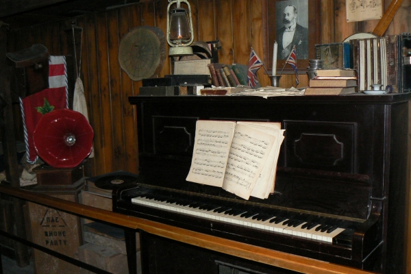 Zdjęcie z Nowej Zelandii - Antarctic Encounter