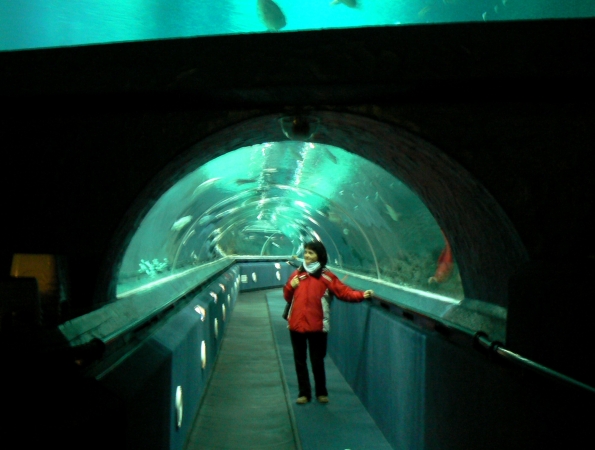 Zdjęcie z Nowej Zelandii - Antarctic Encounter