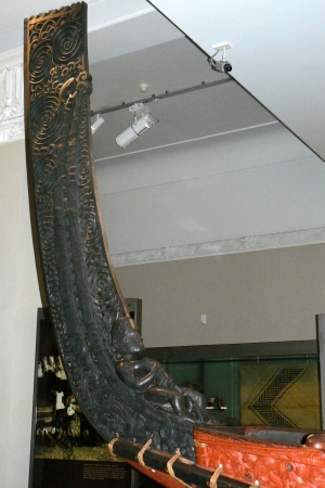 Zdjęcie z Nowej Zelandii - Auckland Museum