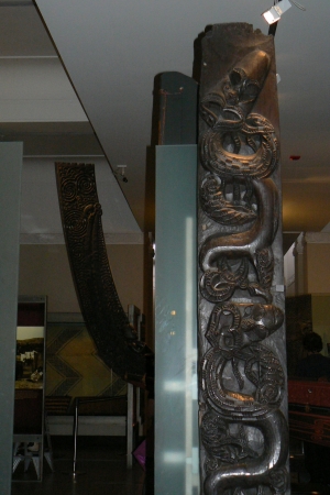 Zdjęcie z Nowej Zelandii - Auckland Museum