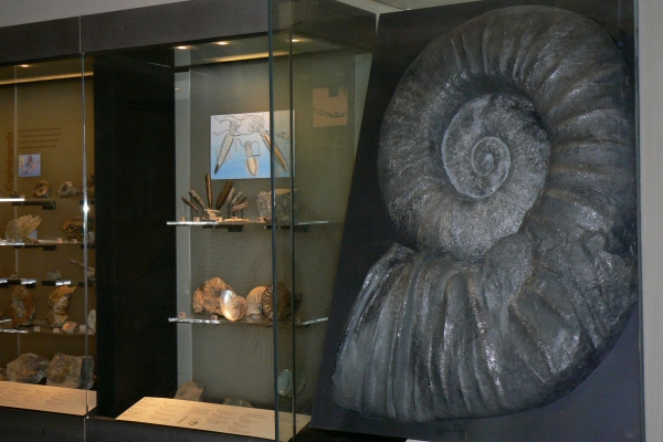 Zdjęcie z Nowej Zelandii - Auckland Museum
