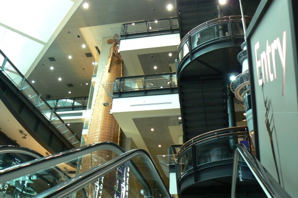 Zdjęcie z Nowej Zelandii - Auckland 