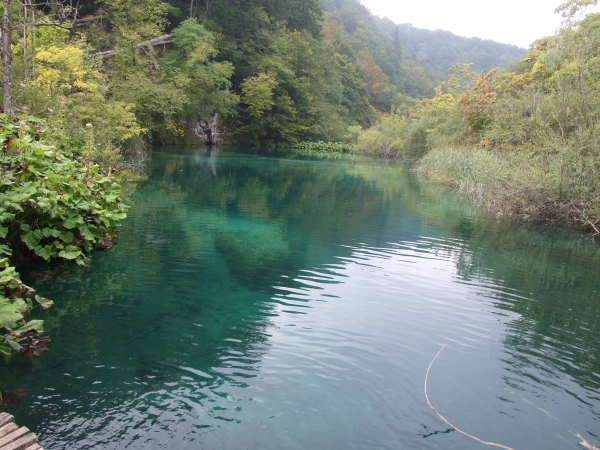 Zdjęcie z Chorwacji - plitvickie