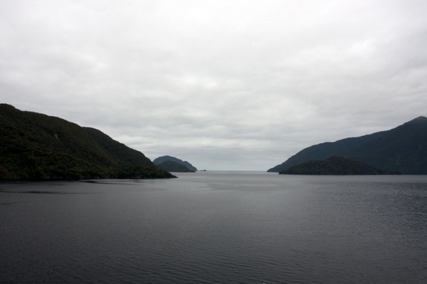 Zdjęcie z Nowej Zelandii - DUSKY SOUND