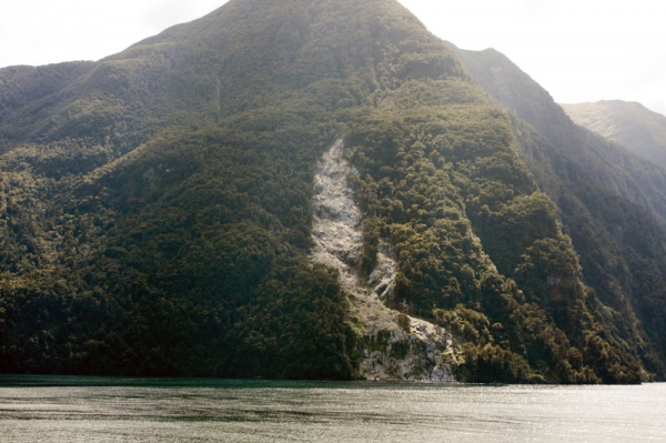 Zdjęcie z Nowej Zelandii - DOUBTFUL SOUND