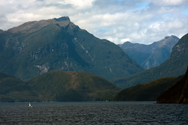 Zdjęcie z Nowej Zelandii - DOUBTFUL SOUND