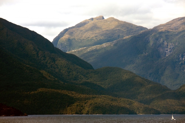 Zdjęcie z Nowej Zelandii - DOUBTFUL SOUND