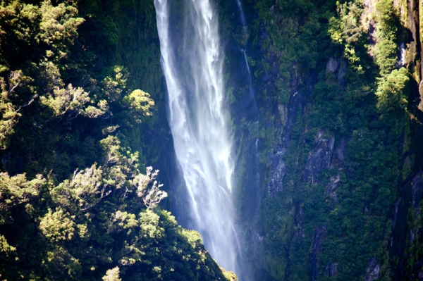 Zdjęcie z Nowej Zelandii - MILFORD SOUND