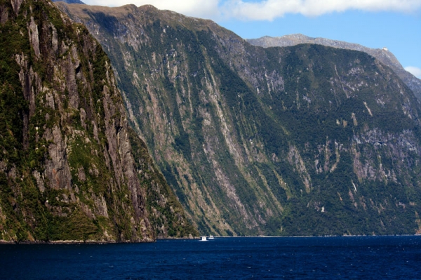 Zdjęcie z Nowej Zelandii - MILFORD SOUND