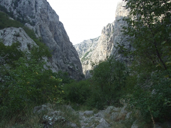 Zdjęcie z Chorwacji - Paklenica