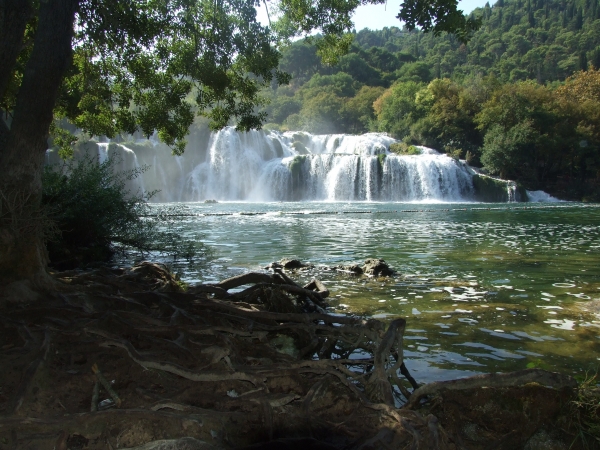 Zdjęcie z Chorwacji - rzeka Krka