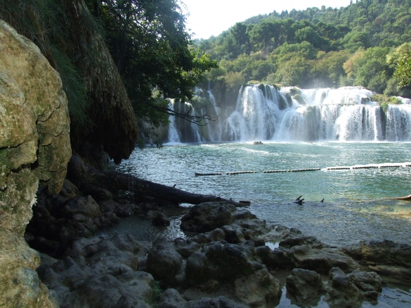Zdjęcie z Chorwacji - rzeka Krka