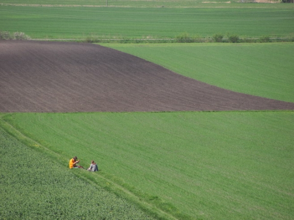 Zdjęcie z Polski - Pola w Korhyniach.