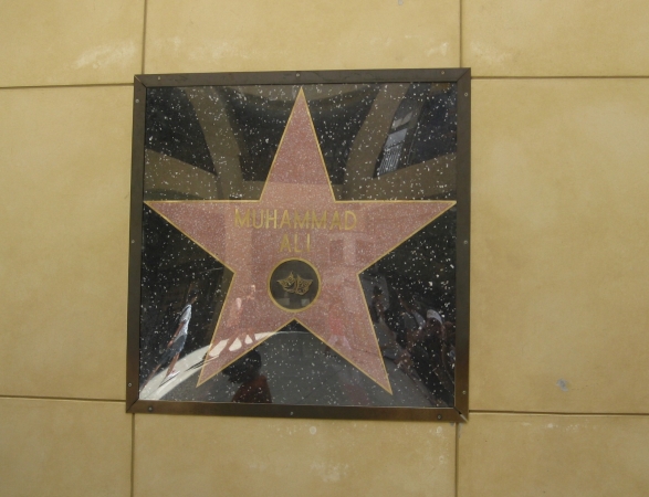 Zdjęcie ze Stanów Zjednoczonych - Hollywood