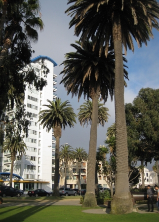 Zdjęcie ze Stanów Zjednoczonych - Los Angeles