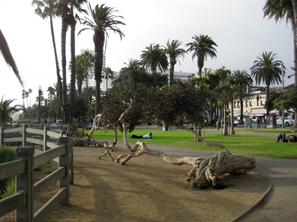 Zdjęcie ze Stanów Zjednoczonych - Santa Monica