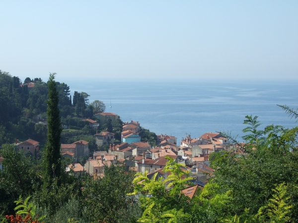 Zdjęcie z Chorwacji - Piran