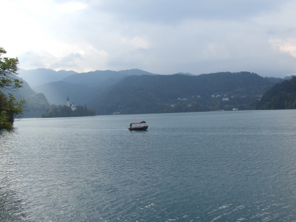 Zdjęcie ze Słowenii - Bled