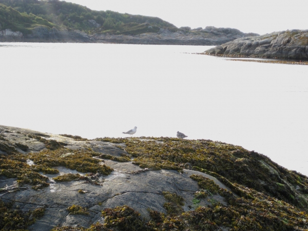 Zdjęcie z Norwegii - K-sund