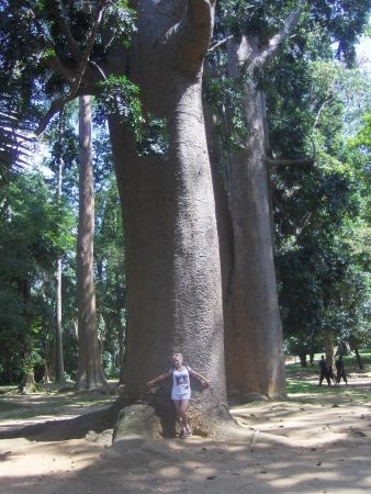 Zdjęcie ze Sri Lanki - 