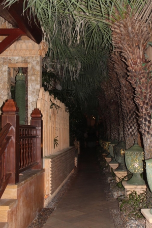 Zdjęcie z Tajlandii - 