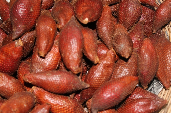 Zdjęcie z Tajlandii - 