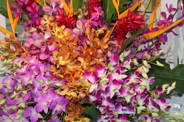 Zdjęcie z Tajlandii - Powrót do domu