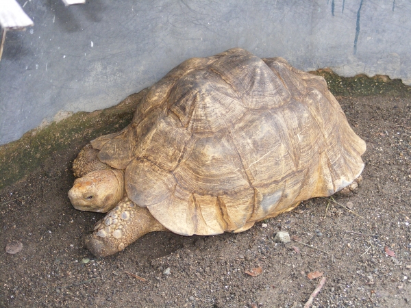 Zdjęcie z Kuby - 