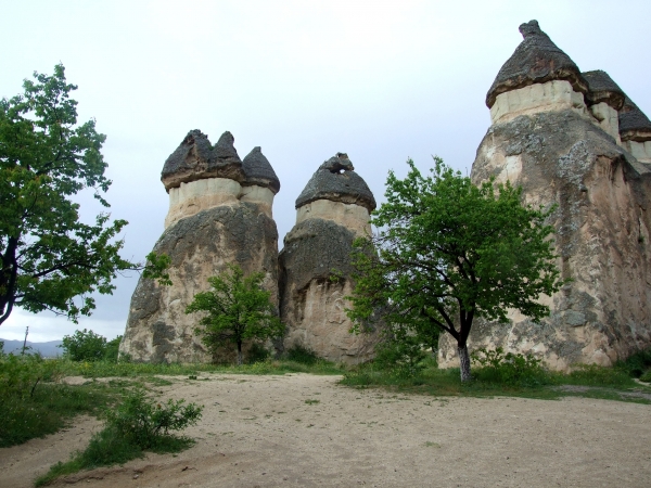 Zdjęcie z Turcji - grzybki