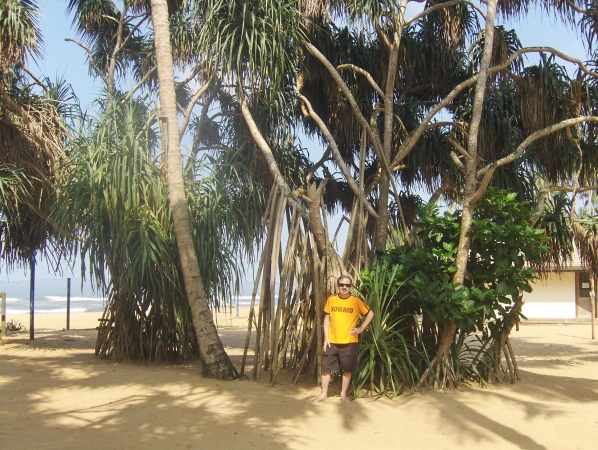 Zdjęcie ze Sri Lanki - 